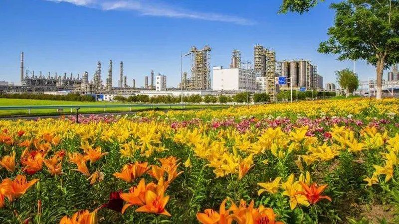 分散剂与乳化剂：价格背后的考量因素**